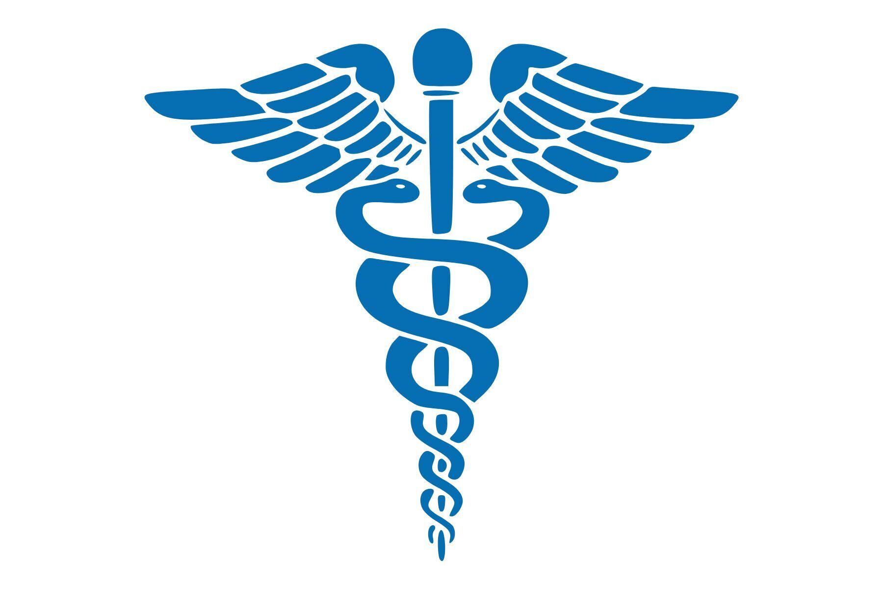 Dr. Sharvani Salimath